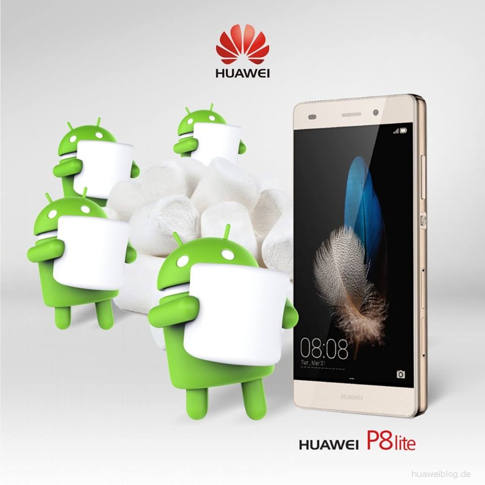 Kleren Individualiteit mijn Huawei P8 Lite (Dual SIM) Android 6.0 Marshmallow verfügbar [BETA] | HUAWEI .blog