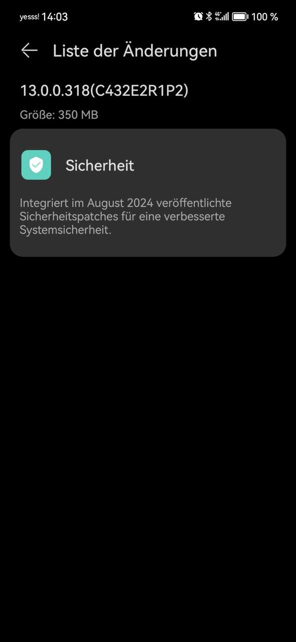 Sicherheitspatch August